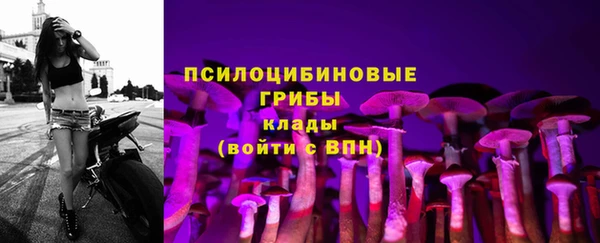 MDMA Горнозаводск