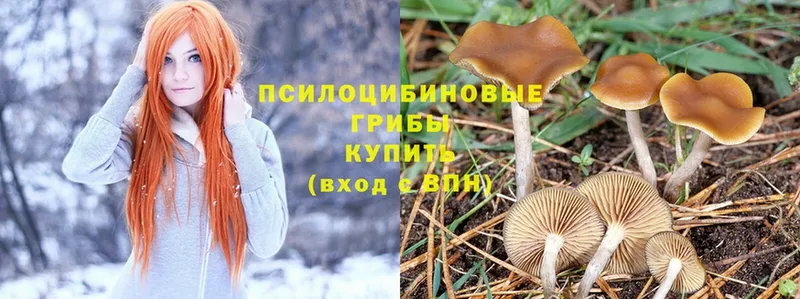 это какой сайт  Мышкин  Галлюциногенные грибы MAGIC MUSHROOMS  kraken маркетплейс 